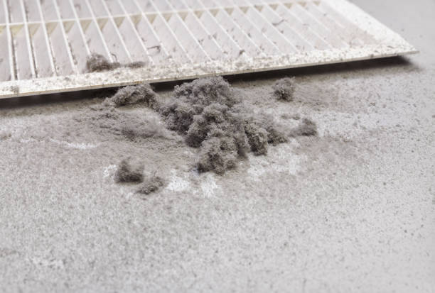 Best HVAC System Cleaning  in New Market, AL