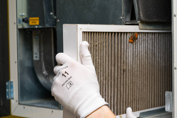 Best Air Vent Cleaning Services  in New Market, AL